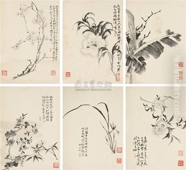 Flowers (6 Works) - view 1