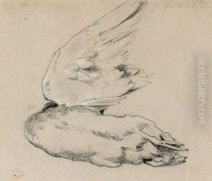 Canard (study) by Augustin Pierre Bienvenue Chenu