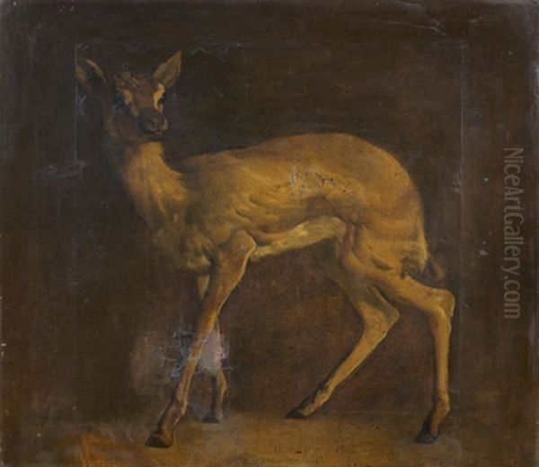 Etude De Biche - view 1