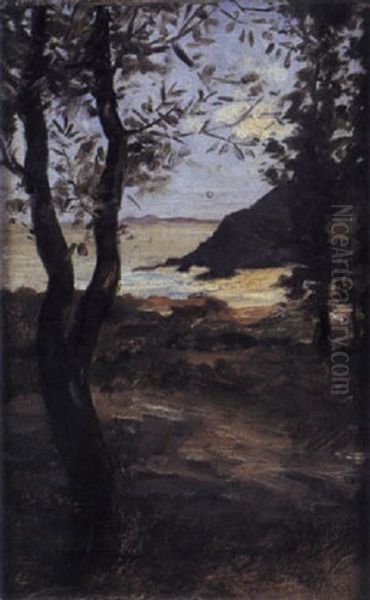 Les Environs De L'arcouest - view 1