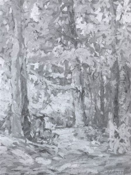 Sunlit Forest - view 1