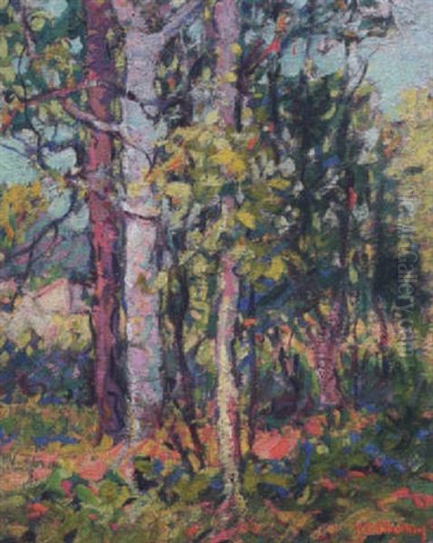 Rural Landscape - view 1
