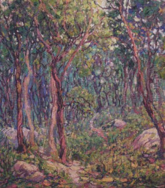 Wooded Forest Scene - view 1