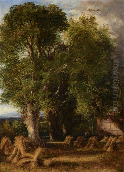 Landscape - view 1