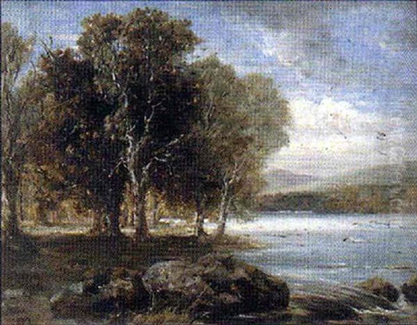 Trees On A Riverbank - view 1
