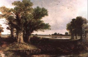 Through The Meadows