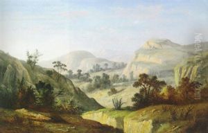 Near Glenbrook In The Blue Mountains, Australia