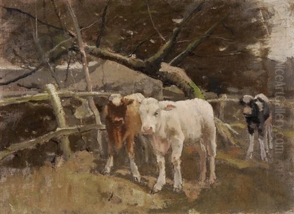 Drei Kalblein Auf Der Weide - view 1