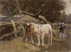 Drei Kalblein Auf Der Weide by Luigi Chialiva
