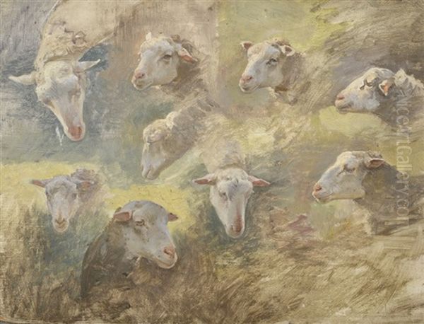 Etude De Moutons - view 1