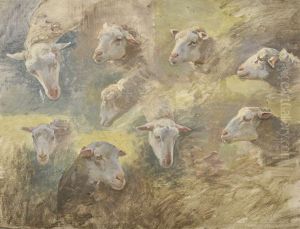 Etude De Moutons by Luigi Chialiva