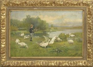 Boy Playing With Geese Along The Riverbank