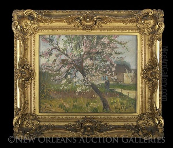 Under The Cherry Tree - view 1
