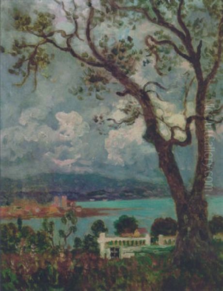 L'olivier - view 1