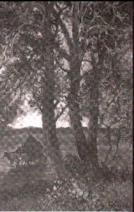 Baumlandschaft Mit Ochsenkarre