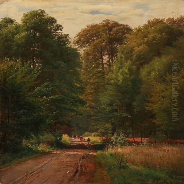 A Shepherd With Cows On A Road Through The Forest - view 1