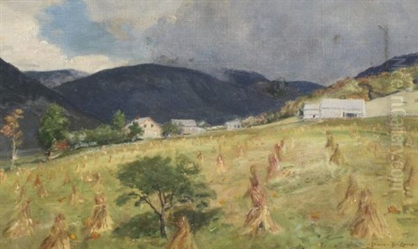 Landscape - view 1