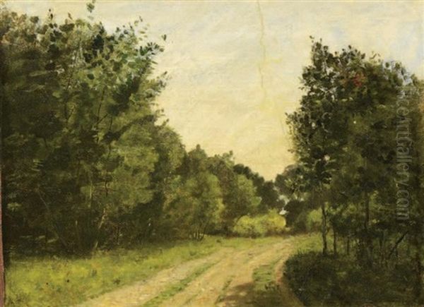 Clairiere - Effets De Soleil - view 1