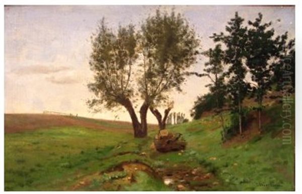 Chemin A La Lisiere Du Bois - view 1