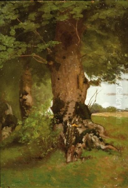 Troncs D'arbres (study) - view 1