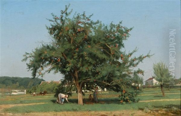 Apfelernte - view 1