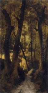 A Woodland Path A Woodland Path