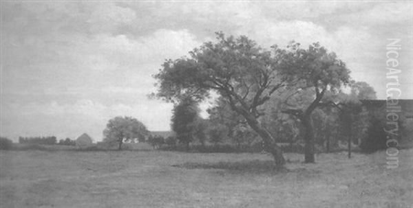 Sommerliche Landschaft Mit Obstbaumen Und Ein Gehoft Im Hintergrund - view 1