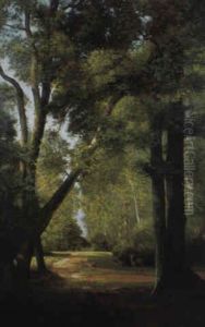 Le Bois Ensoleille Au Parc De Millemont Le Bois Ensoleille Au Parc De Millemont
