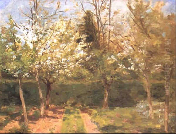 Cerisier En Fleurs - view 1
