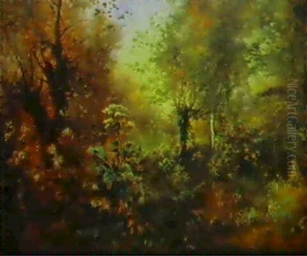 Le Sous-bois En Fleurs, Pres Du Ruisseau A Pont-aux-dames - view 1