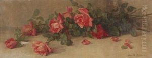 Red Rose Still Life Red Rose Still Life