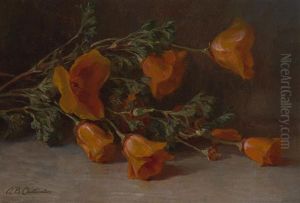 California Poppies by Alice Brown Chittenden