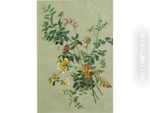 Bur Clover (pea Family); Hedge, Nettle And Lily (pair) Bur Clover (pea Family); Hedge, Nettle And Lily (pair)