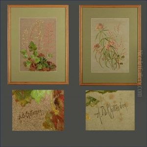 Asclepias Mexicana, Milkweed... (+ Heuchera Micrantha, Alum-root...; 2 Works) by Alice Brown Chittenden