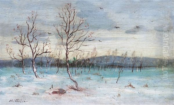 Zimni Krajina - view 1