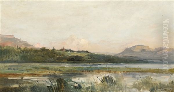 Landscape - view 1