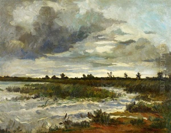 Aufziehender Sturm Uber Einer Seenlandschaft - view 1