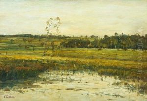 Krajina S Rybnikem A Brizou by Anton Chittussi