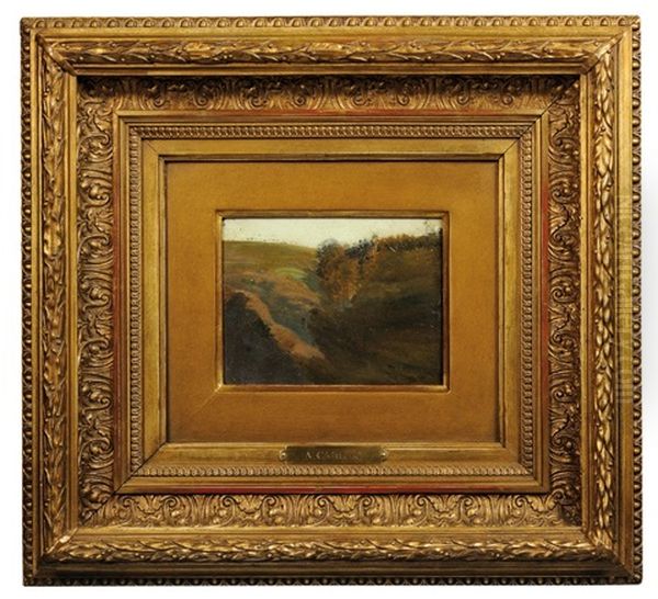 Landscape - view 1