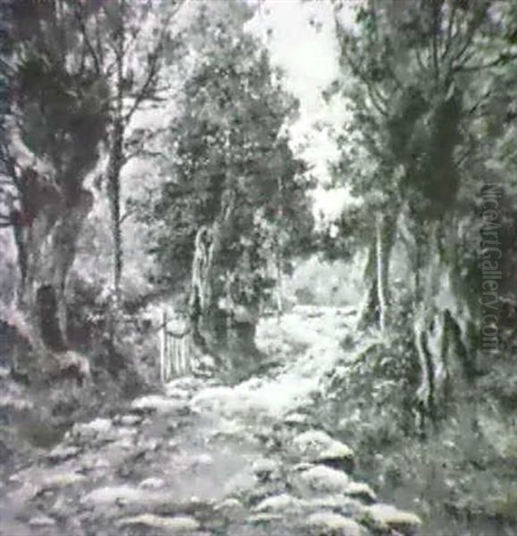 Skogsinterior "le Chemin Du Guern" - view 1