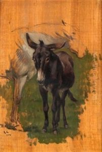 Estudio De Burros