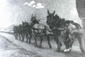 The Mule Train