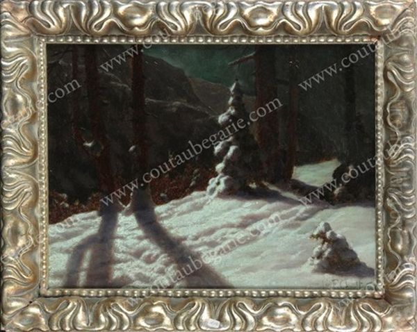 Foret Enneigee - view 1