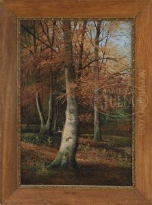 Autumn Woods Autumn Woods