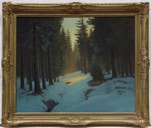 Sunlight On A Snow Covered Forest Sunlight On A Snow Covered Forest