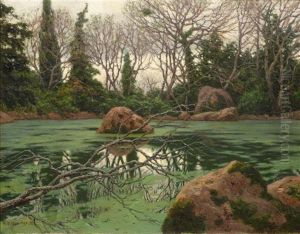 Waldlandschaft Waldlandschaft