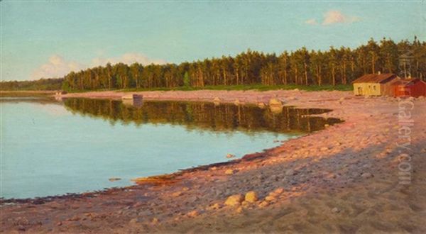 Kustenlandschaft Bei St. Petersburg Im Abendrot - view 1