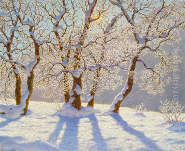 Winterlandschaft Im Sonnenschein - view 1