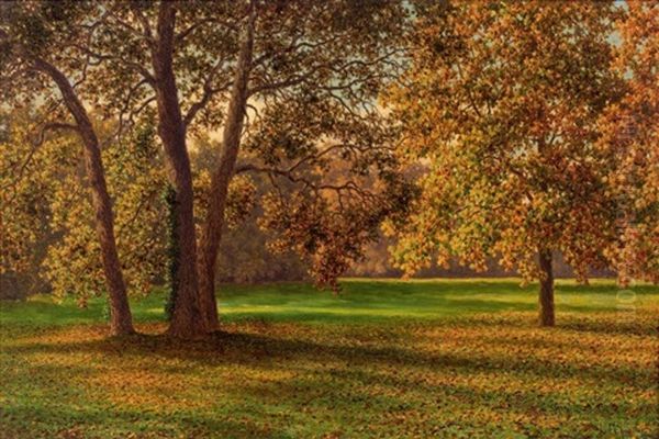 Automne A Bagatelle, Paris - view 1