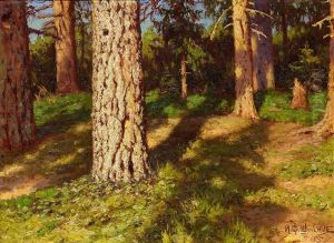 A Sunlit Pinewood Forest A Sunlit Pinewood Forest